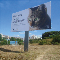 Outdoor Não Abandone o seu Animal